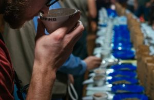 coffee cupping sniffing vessels of coffee