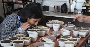 coffee cupping vessels