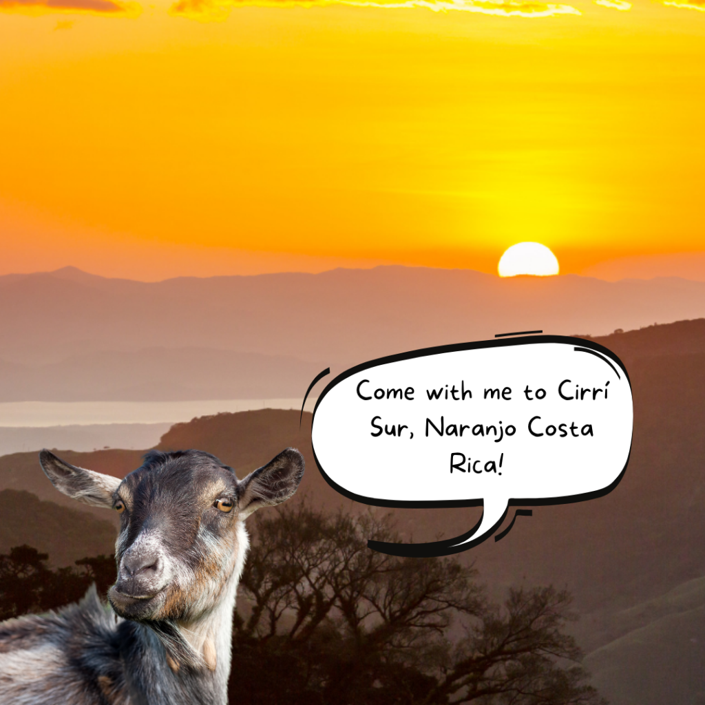 Come with me to Cirri Sur Costa Rica!